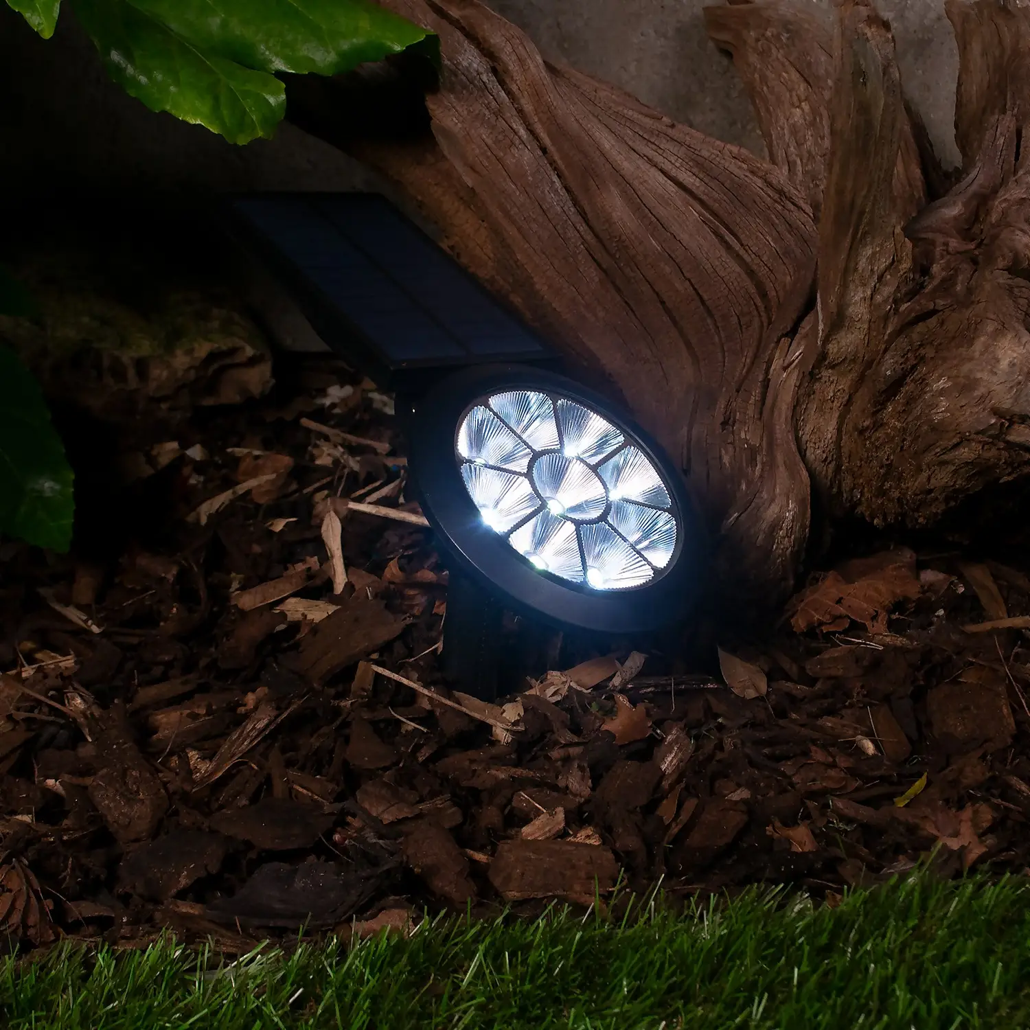 Chiron Solar Spotlight - White & Warm White 3 Chiron Solar Spotlight - White & Warm White