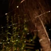 Elan Solar Copper Wire - 100 LED's -EGLO SALES 13489405 1044978615840965