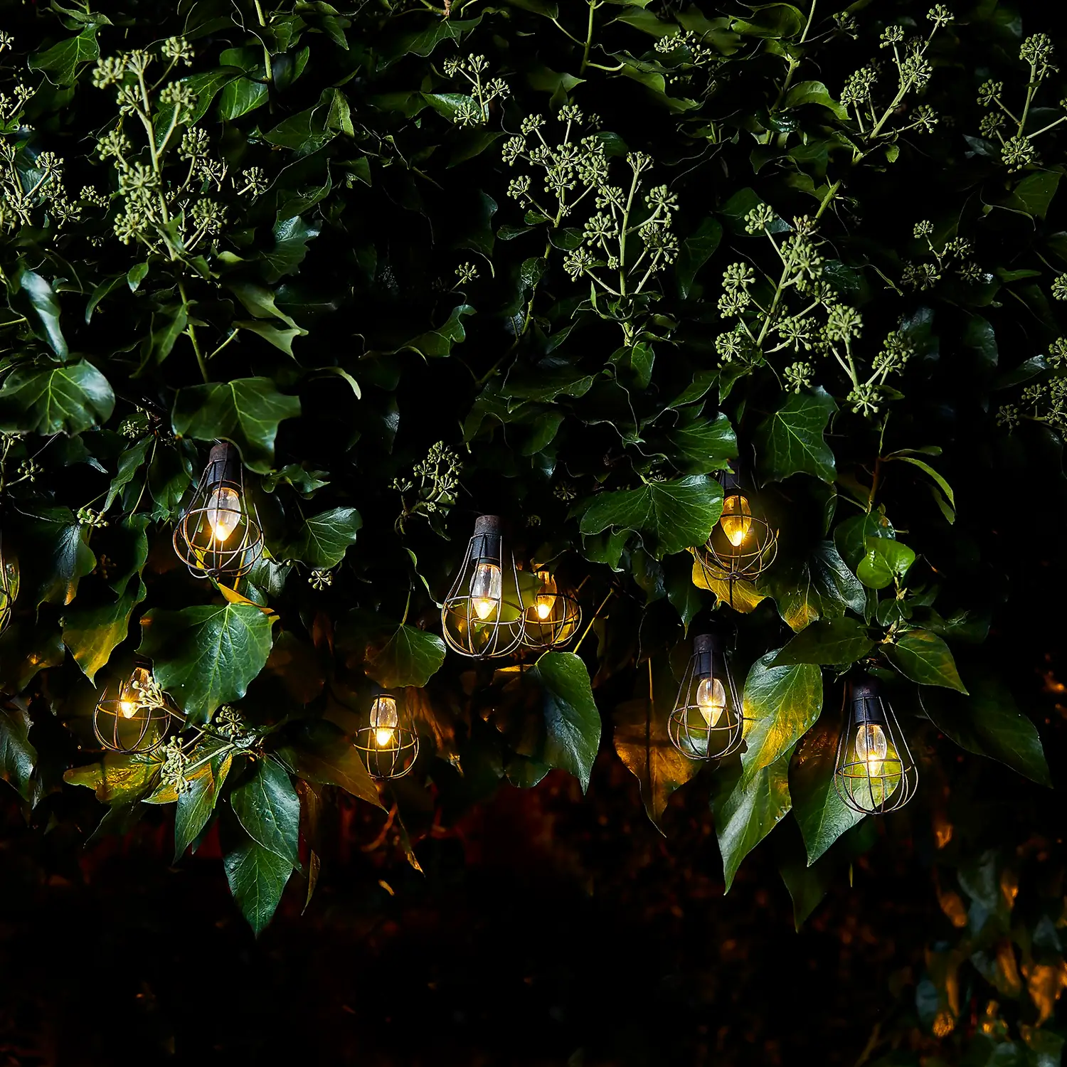 Homebase Edit 10 Metal Solar Cage Lights 3 Homebase Edit 10 Metal Solar Cage Lights