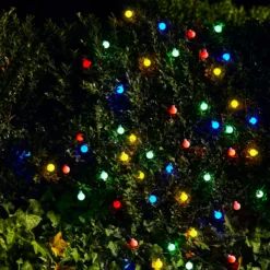 Homebase Edit 50 Solar Berry Lights